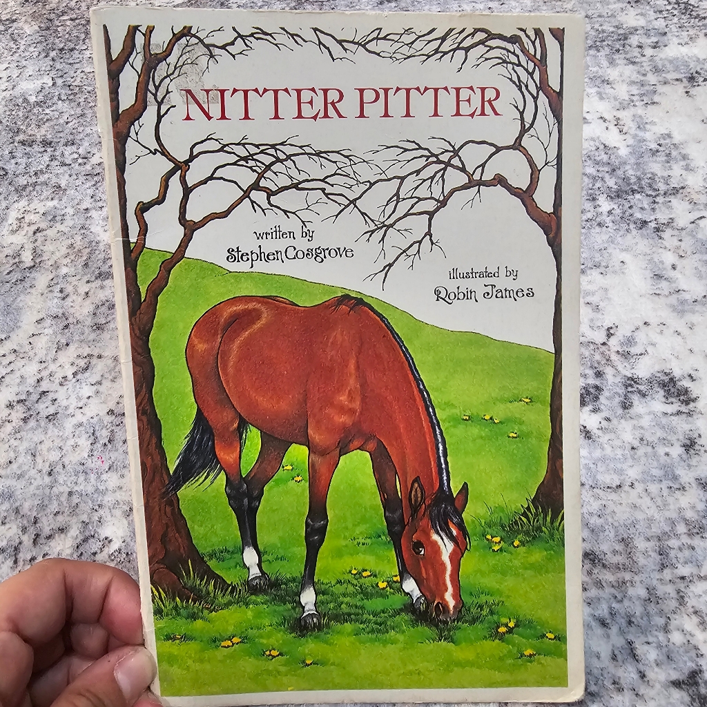 Vintage 1970s Serendipity Book